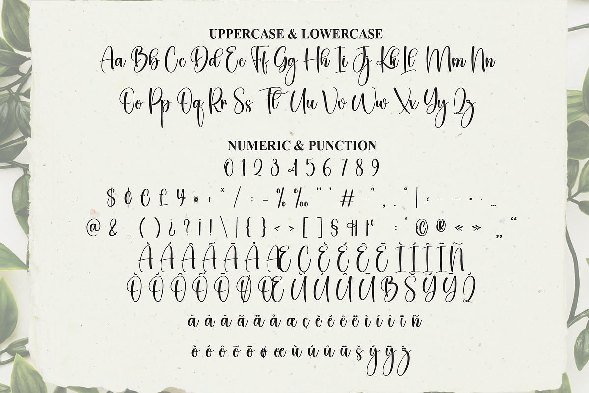 Calligraph | Script Font, a Handwritten Font by Scratchones (Photo 6 of 8)