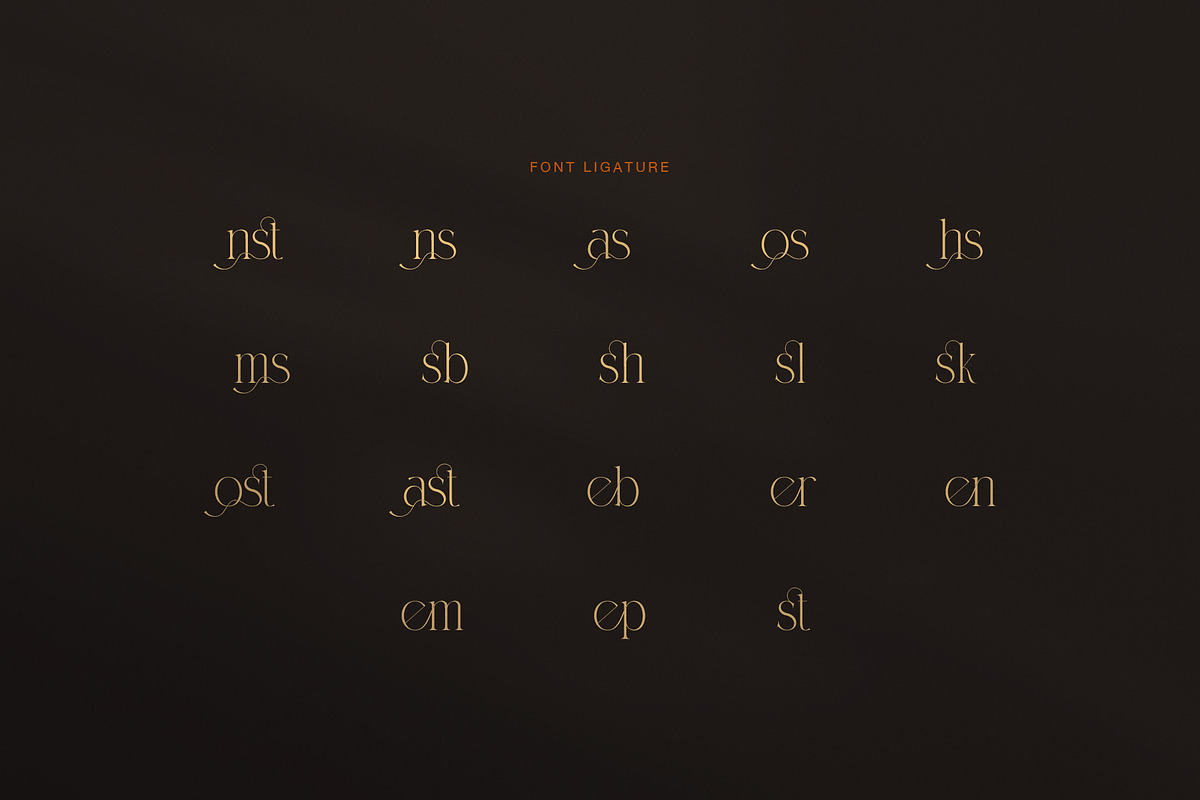 Honste Elegant Serif Display Font, a Serif Font by Graphicxell (Photo 8 of 8)