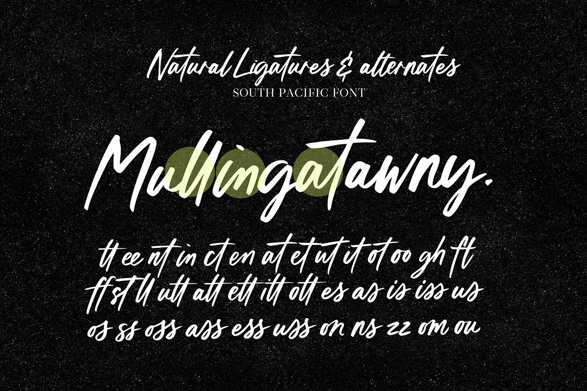 South pacific Marker Font, a Script Font by Nicky Laatz (Photo 27 of 27)