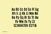 CTCo Hopps Condensed Display, a Sans Serif Font by Colt Type Co (Thumbnail 3 of 6)