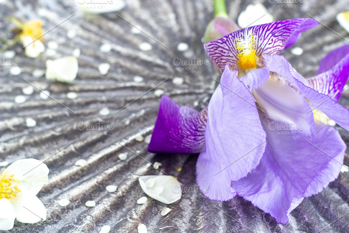 Purple Iris Styled Stock Collection, a Photo by Chalking Up Stock (Photo 9 of 19)