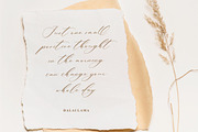 Patricia Rustine Luxury Script Font, a Script Font by Letterena Studios Script (Thumbnail 2 of 15)