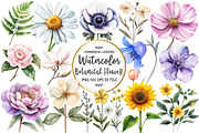 Watercolor Botanical Flower Clipart, an Illustration by OK Design (Thumbnail 1 of 5)