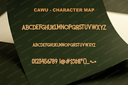 Cawu - Elegant Minimalist Serif, a Serif Font by Astuti Studio (Thumbnail 3 of 25)