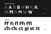 MN Wichtown Sans - Modern Sans Serif, a Sans Serif Font by Mantra Naga (Thumbnail 7 of 15)
