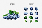 Watercolor Fruits And Vegetables, an Object Graphic by ConceptCafe (Thumbnail 3 of 7)