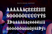 Butterfly – Modern Serif Font, a Serif Font by overlaytemplates (Thumbnail 5 of 5)