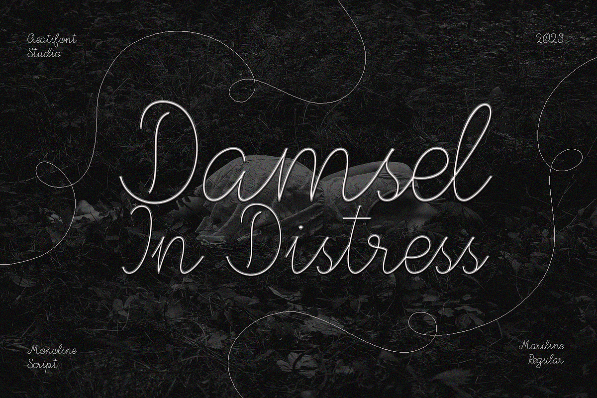 CF Mariline - Monoline Script, a Script Font by Indotype Foundry (Photo 9 of 10)