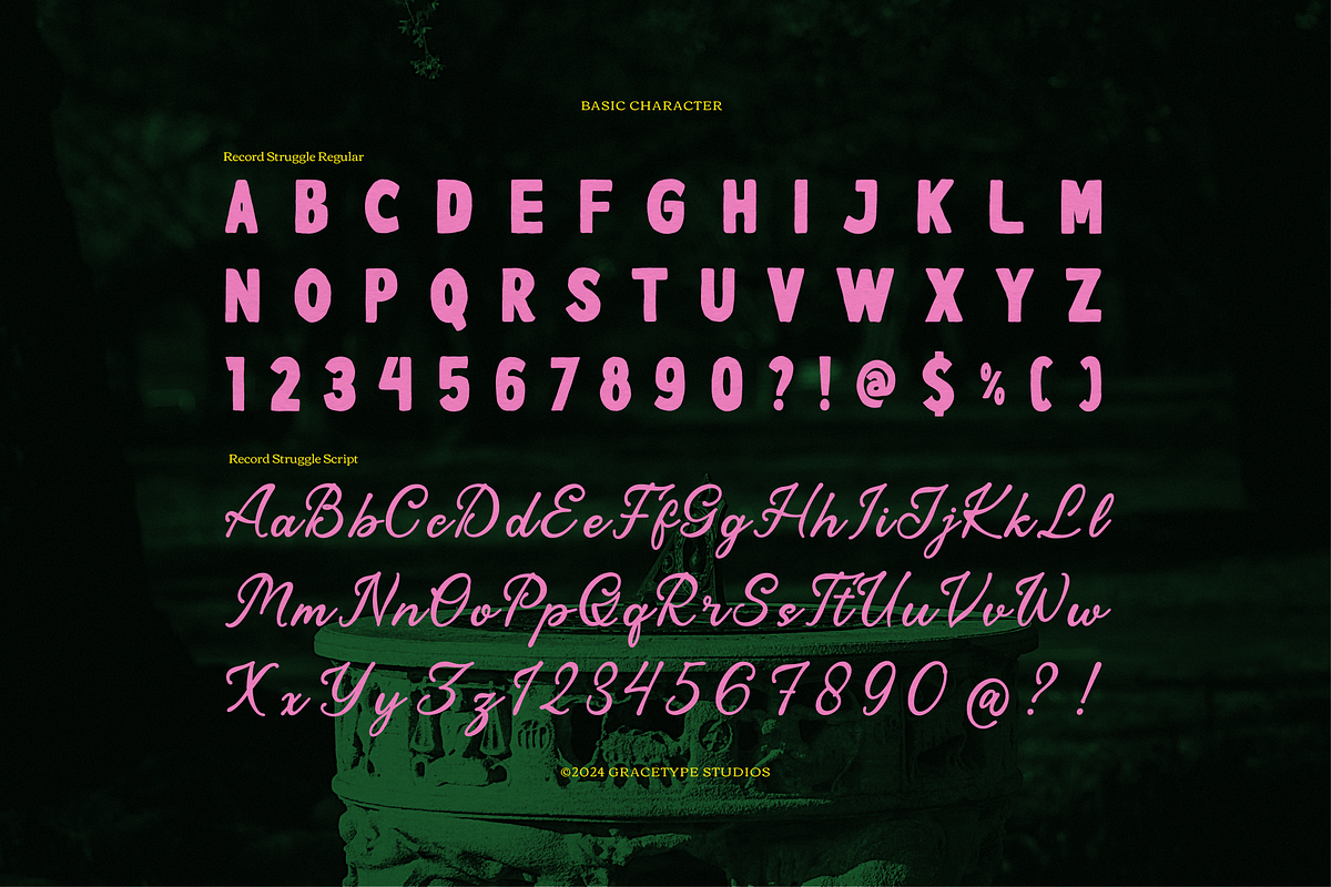 Record Struggle | Hand Drawn Script, a Font by gracetype_studio (Photo 10 of 12)