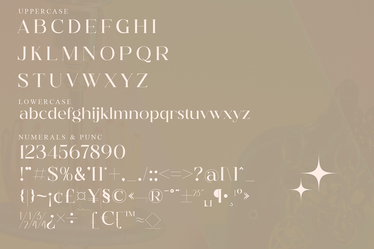 Hegam Modern and Stylish Serif Font, a Serif Font by Storytype Studio (Photo 13 of 15)