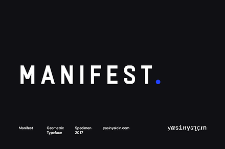 Manifest Type Family