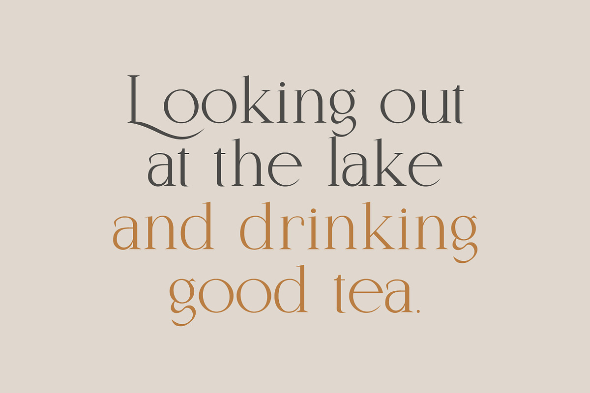 Zeantry a Modern & Elegant Serif, a Serif Font by Lettertype Studio (Photo 9 of 12)
