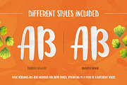The Versatile Font Bundle, a Sans Serif Font by AlienValley (Thumbnail 36 of 141)