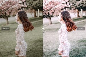 Milkweed Pro Lightroom Presets