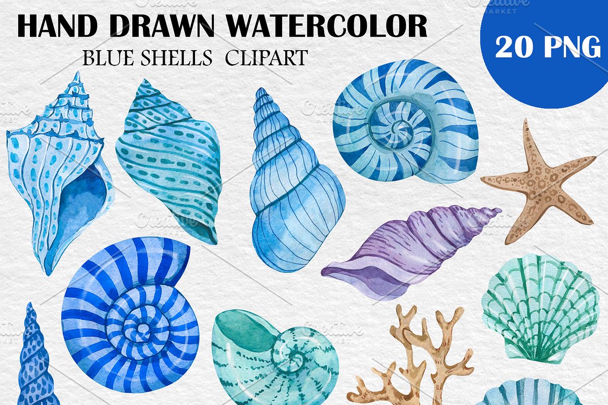Watercolor Blue Sea Shells Clipart