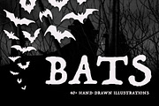 Bats. 40+ Hand-drawn Elements, an Animal Illustration by Vicccky (Thumbnail 1 of 5)