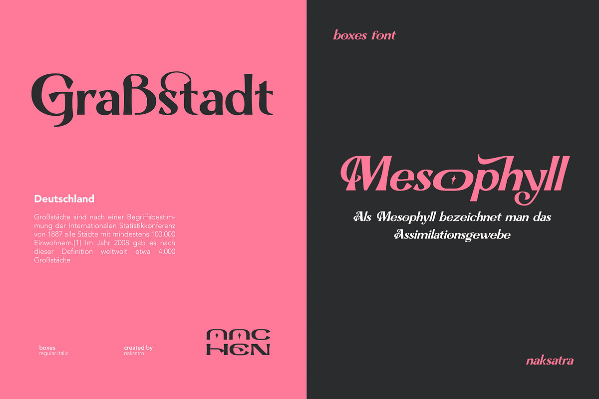 Boxes, a Serif Font by Naksatra (Photo 9 of 14)