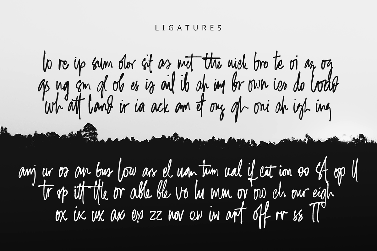 Handicart – A Charming Handwritten, a Handwritten Font by overlaytemplates (Photo 5 of 6)