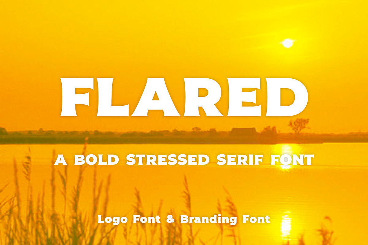 Flared - a logo font or brand font, a Font by Little Type Factory (Photo 8 of 8)