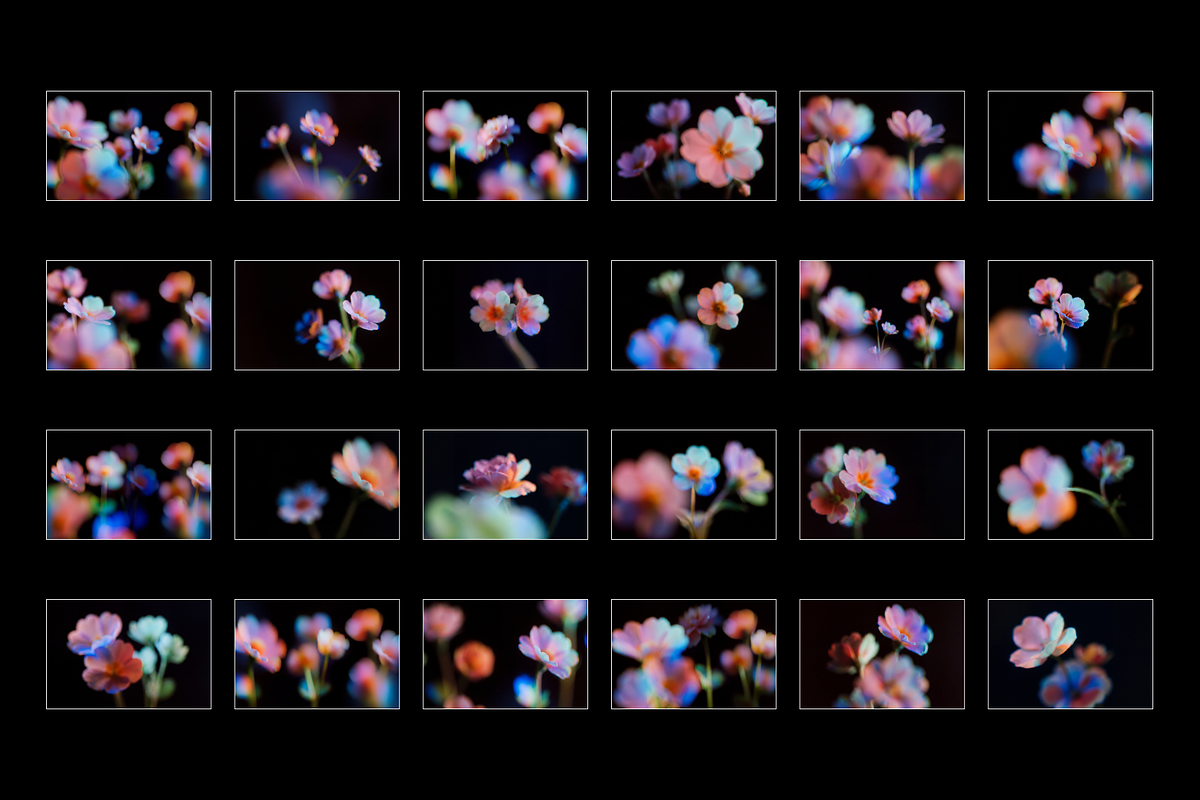 flow. - Abstract Floral Backgrounds, a Background Graphic by Digital Blood (Photo 2 of 9)