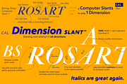 Rosart & Fleisch PRO+Wld1 2FontPack, a Serif Font by California Type Foundry (Thumbnail 4 of 8)