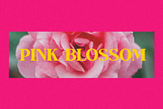 Cosity - Display Serif Font, a Serif Font by Koplexs Studio (Thumbnail 9 of 10)