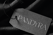 Pandyra - Delicate Luxury Serif, a Serif Font by HipFonts (Thumbnail 8 of 12)