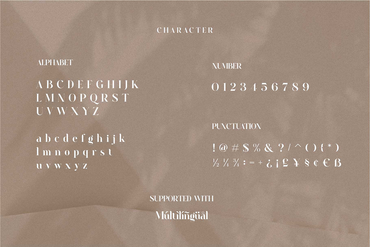 Raung Modern Ligature Serif, a Serif Font by Dylla_studio (Photo 11 of 13)