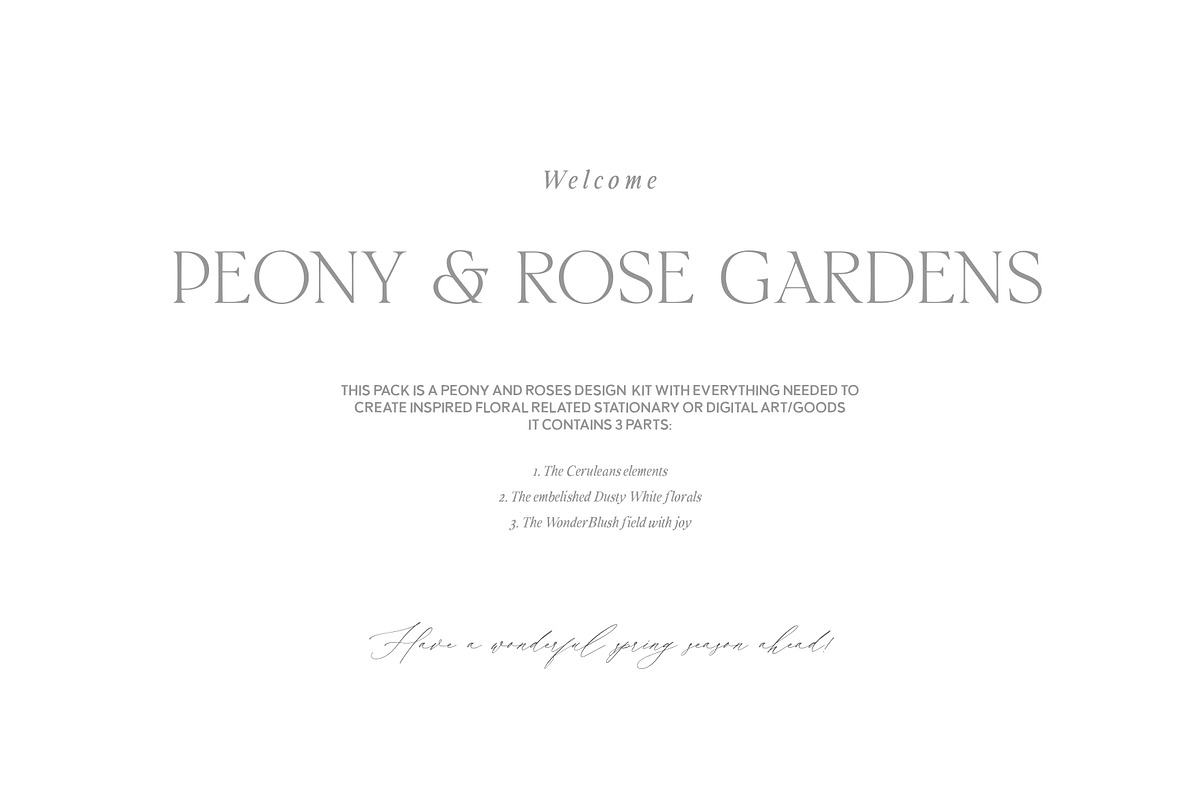 Peony & Rose Gardens - Library, a Decorative Illustration by Isabelle Salem (Photo 2 of 11)
