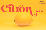 Lovely Bastilla | Retro Serif Font, a Serif Font by MchCrafter (Thumbnail 9 of 18)