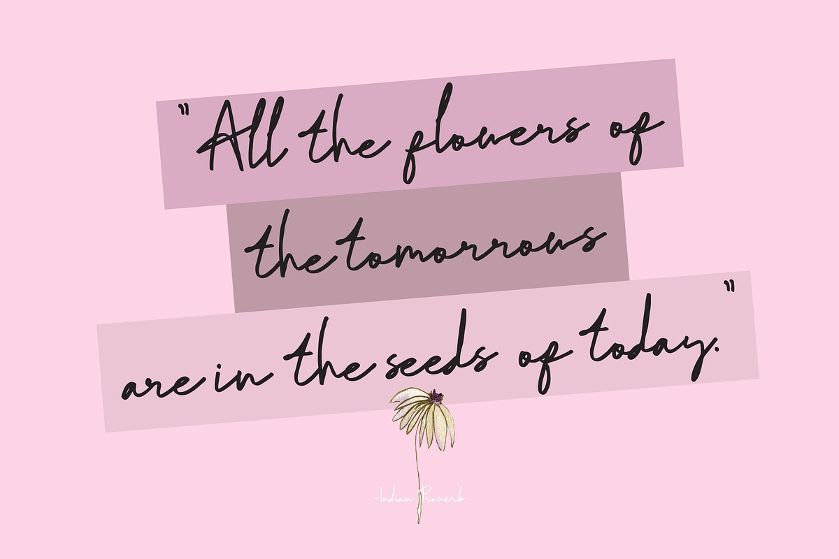Sweet Downy - Signature Handwritten, a Handwritten Font by Lemon Studio Type (Photo 4 of 7)