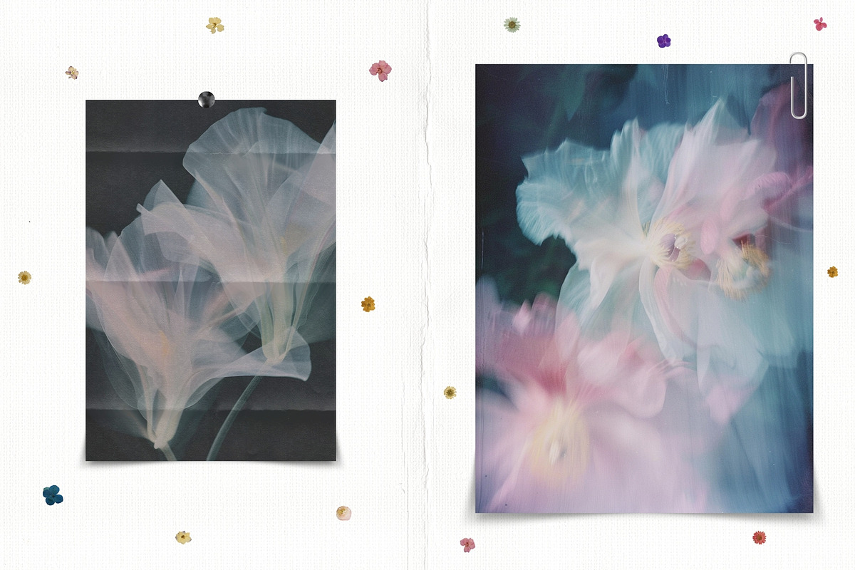 Blurred BLOSSOM backgrounds, a Background Graphic by lerinartstudio (Photo 6 of 13)