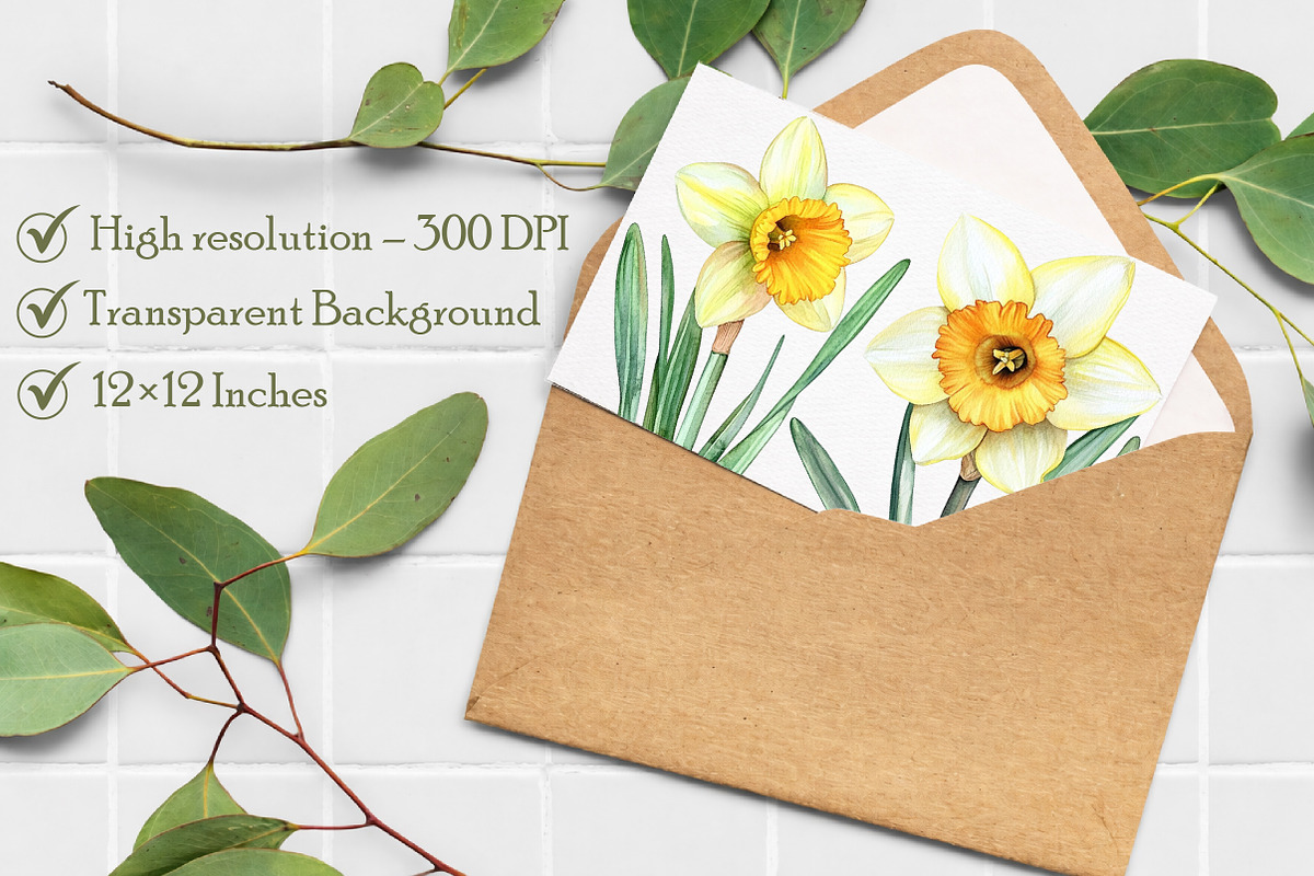Watercolor Daffodils Clipart, an Illustration by Libby Wishes (Photo 7 of 7)