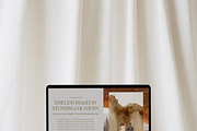 Sonny Showit Website Template, a Templates & Theme by Amanda Scott Design Co. (Thumbnail 4 of 7)