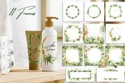 Aloe Watercolor Collection, a Decorative Illustration by WatercolorElena (Thumbnail 6 of 11)