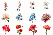 Watercolor Garden flower Clipart, an Illustration by Designworld (Thumbnail 2 of 4)