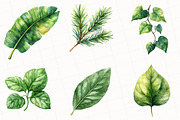 Green Summer Foliage Clipart, an Illustration by OK Design (Thumbnail 5 of 5)