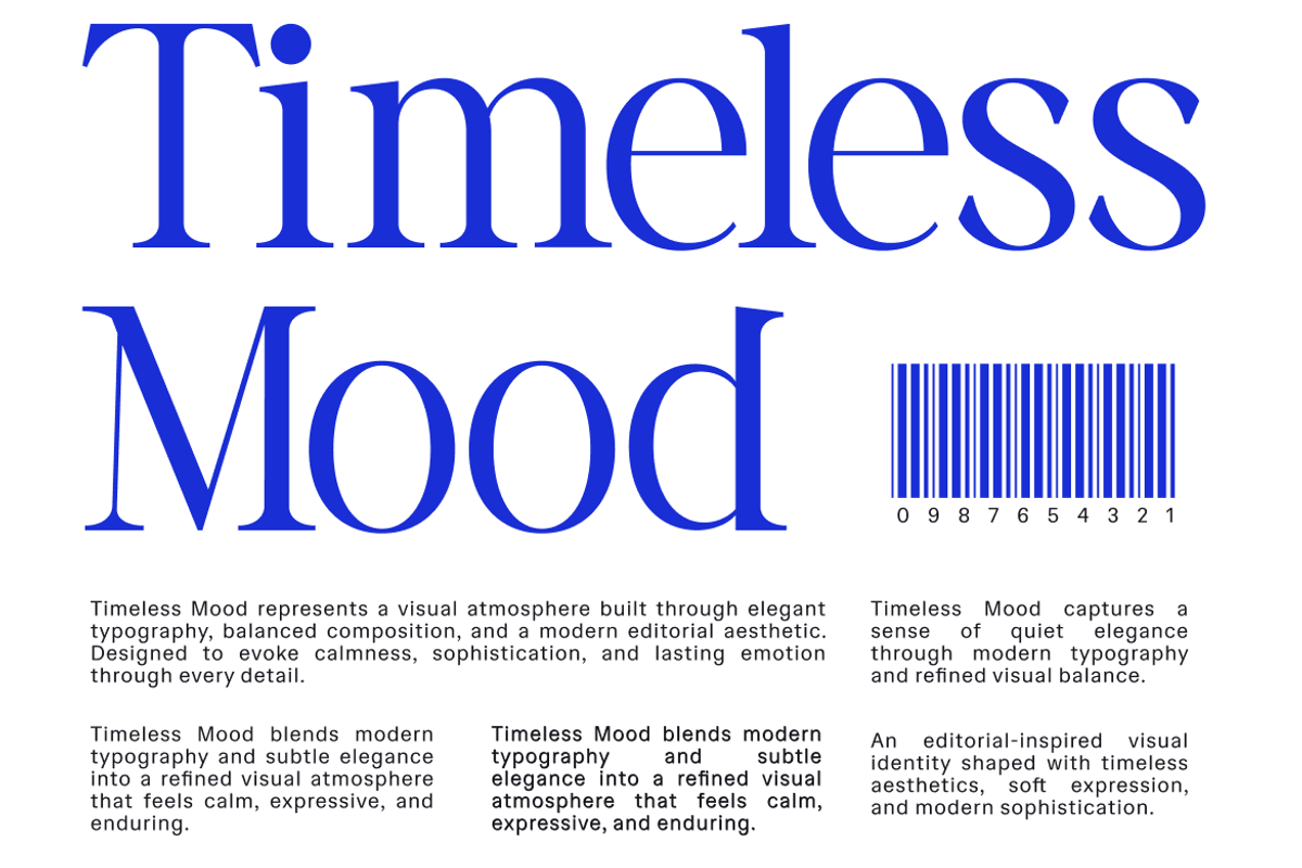 Vorello Modern Editorial Serif Font, a Serif Font by Rasio Studio (Photo 6 of 9)