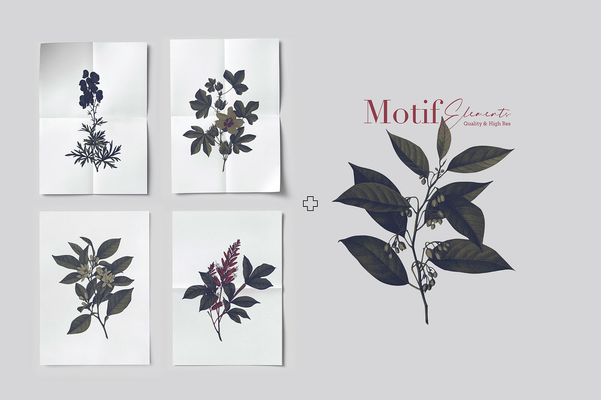 Botanic Oscuro Moody Botanical Print, a Pattern Graphic by TSTUDIO (Photo 5 of 10)