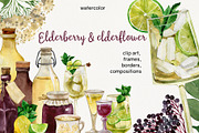 Elderberries&Elderflowers Collection, a Food Illustration by TanyaOak (Thumbnail 1 of 9)