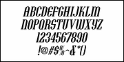 Vacation Resort JNL, a Serif Font by Jeff Levine Fonts (Thumbnail 5 of 5)