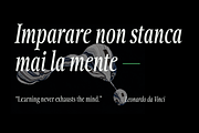 Fionas - 14 Fonts, a Serif Font by Nasir Udin (Thumbnail 12 of 17)