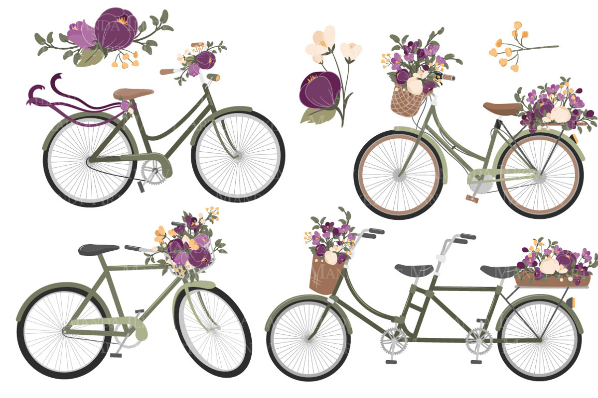 Plum Floral Bicycle Vector Clipart, an Illustration by Amanda Ilkov (Photo 5 of 5)
