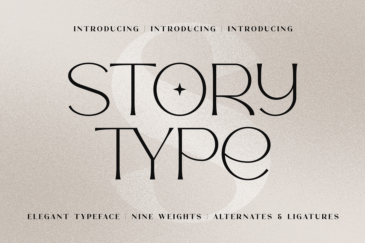 Story Type elegant typeface 18 fonts, a Serif Font by VP Fonts (Photo 1 of 16)