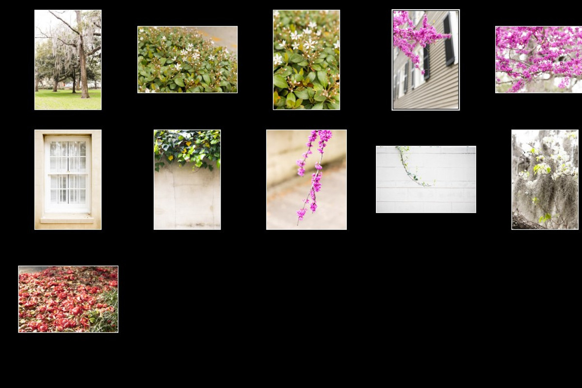 Spring in the City Stock Photo Bundl, a Mockup by Styled Stock House (Photo 5 of 5)