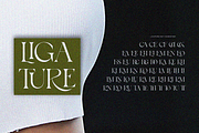 Bayari, a Serif Font by zaaintype (Thumbnail 7 of 11)