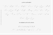 Aileen Miln Calligraphy typeface, a Script Font by Alice_Evans (Thumbnail 8 of 12)