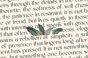 Amira Monte Elegant Display Font, a Sans Serif Font by timelesstype.co (Thumbnail 11 of 20)