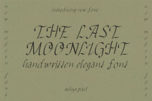 Romantic Handwritten Caligraphy Font
