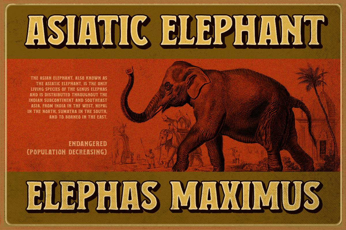 The Edgeriver - Organic, a Font by Letterhend Studio (Photo 5 of 9)